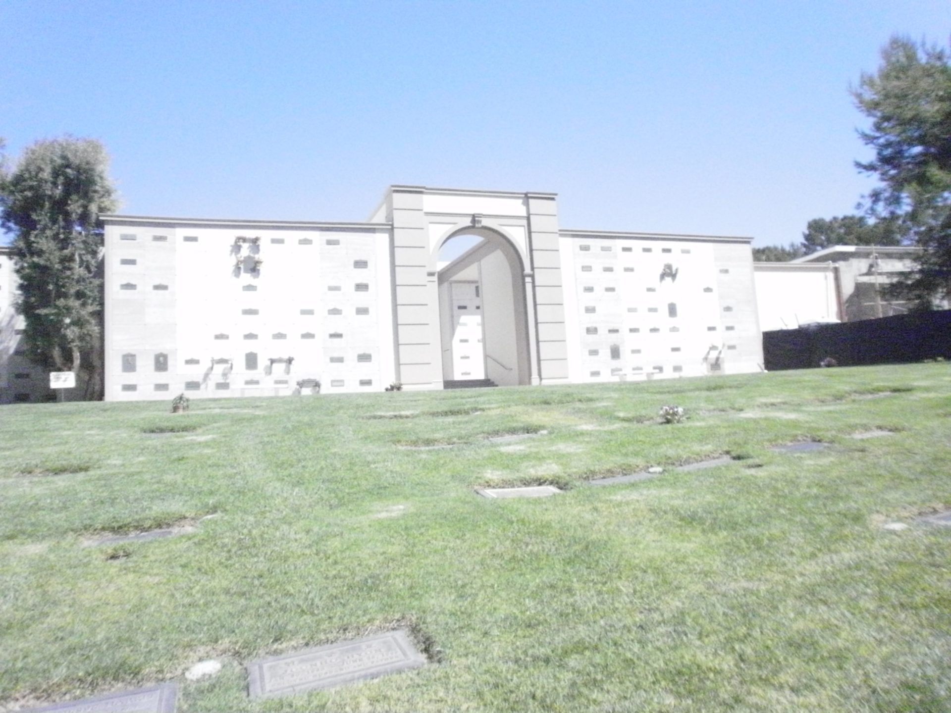 Forest Lawn Hollywood Hills Spectra Company